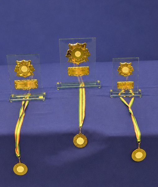 Medals and engraved awards presented at Irish mathematics competitions